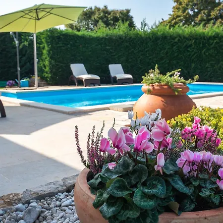 Villa Moira Tar-Vabriga